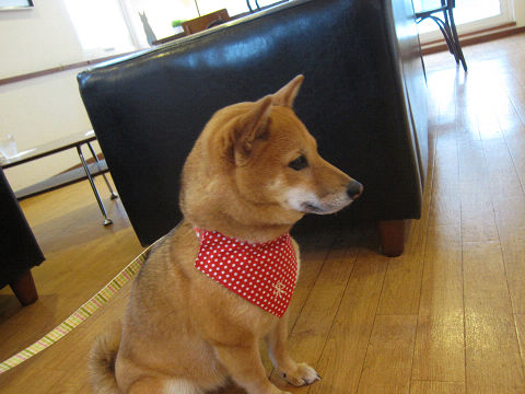 resize2941.jpg