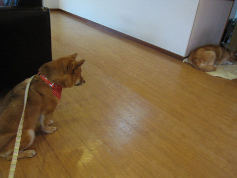 resize2942.jpg