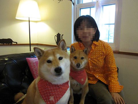 resize2944.jpg