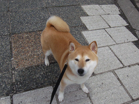 resize2951.jpg