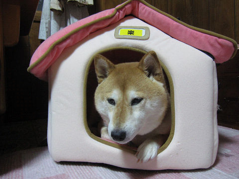 resize3061.jpg