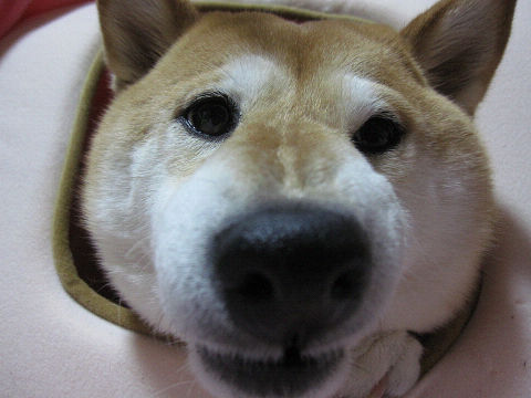resize3062.jpg