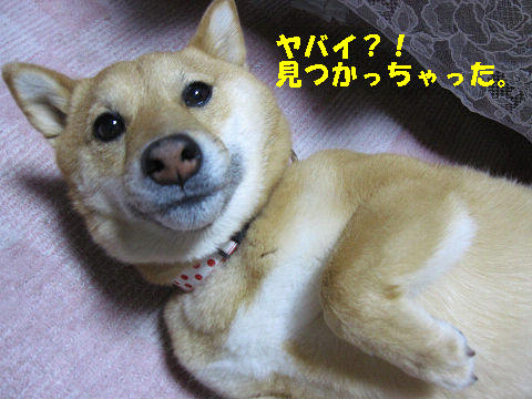 resize3104a.jpg