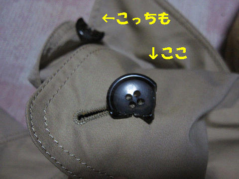 resize3106.jpg