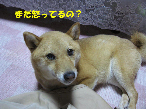 resize3108.jpg