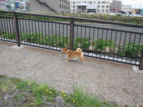 resize3110.jpg