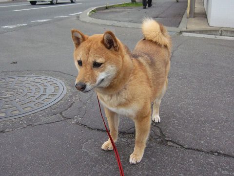 resize3113.jpg