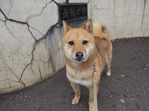 resize3115.jpg