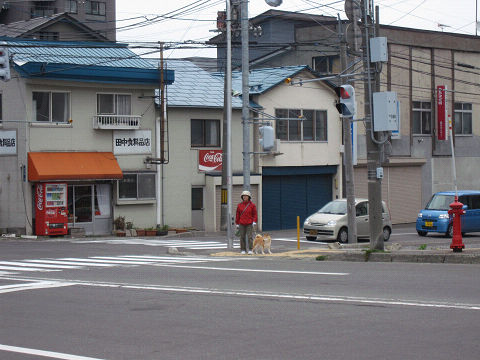 resize3116.jpg