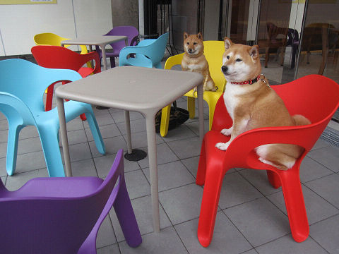 resize3120.jpg