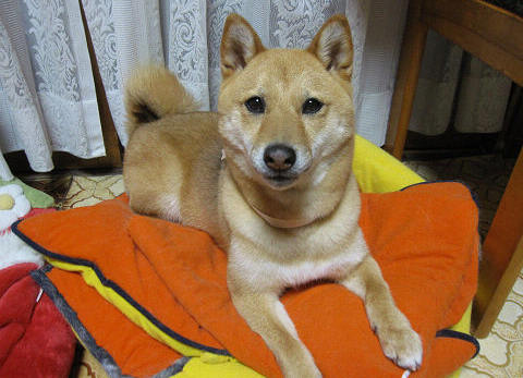 resize3214.jpg