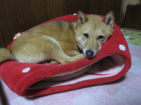 resize3222.jpg