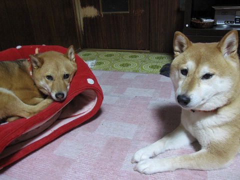 resize3225.jpg