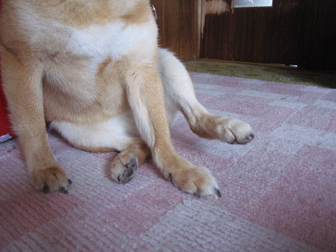 resize3228.jpg