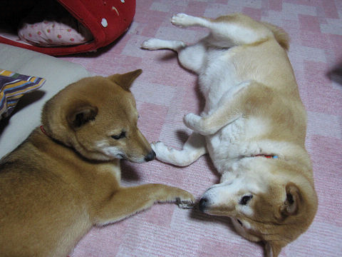resize3229.jpg