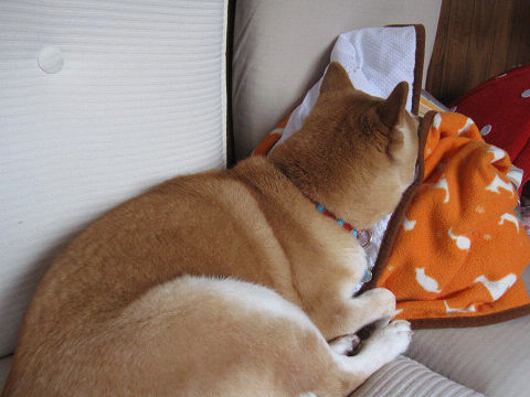 resize3231.jpg