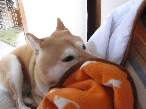 resize3233.jpg