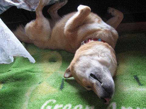 resize3234.jpg