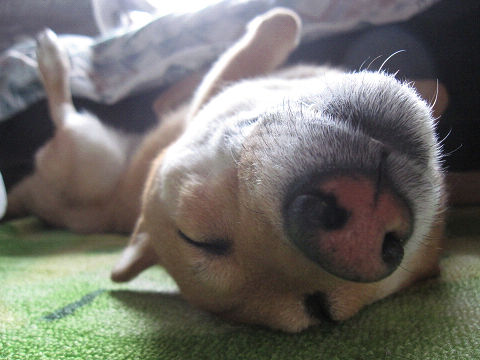 resize3235.jpg