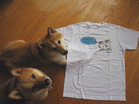 resize3254.jpg