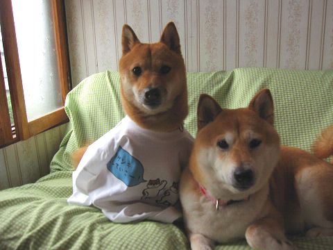 resize3255.jpg