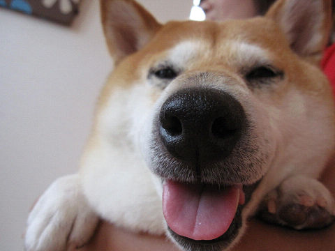 resize3459.jpg