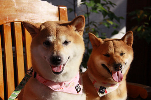 resize3461.jpg