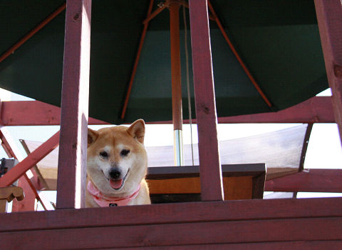 resize3463.jpg