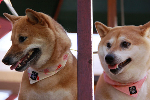 resize3464.jpg