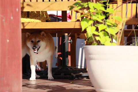 resize3466.jpg