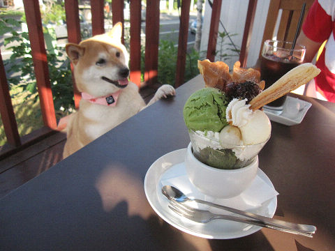 resize3467.jpg