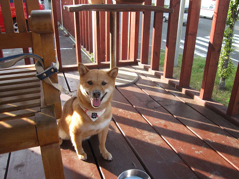 resize3469.jpg