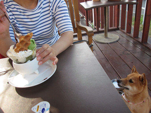 resize3470.jpg