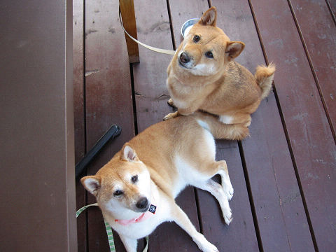 resize3471.jpg