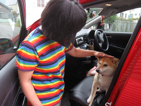 resize3476.jpg