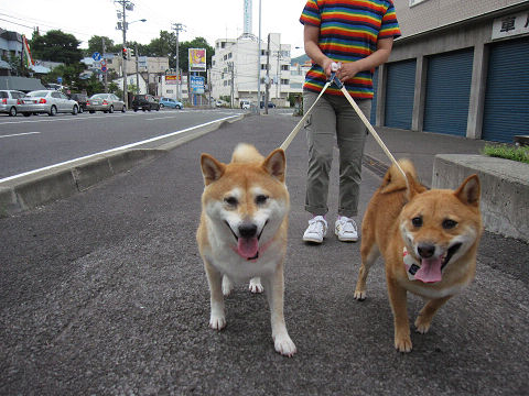 resize3477.jpg