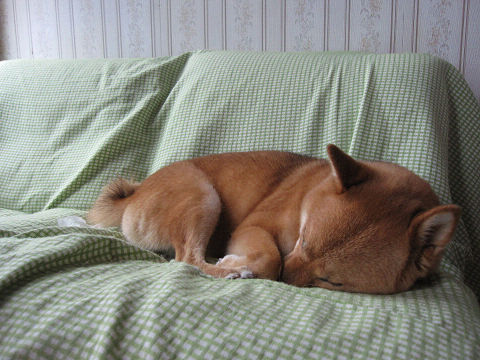 resize3481.jpg