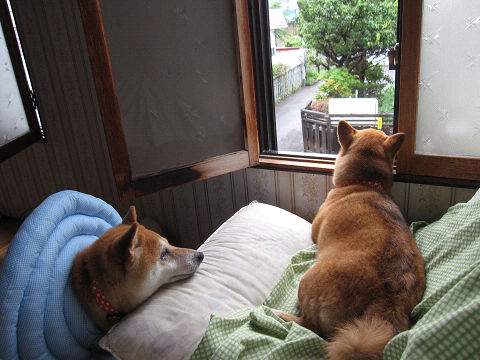 resize3482.jpg