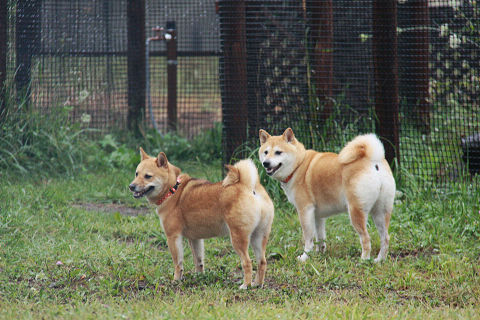 resize3507.jpg