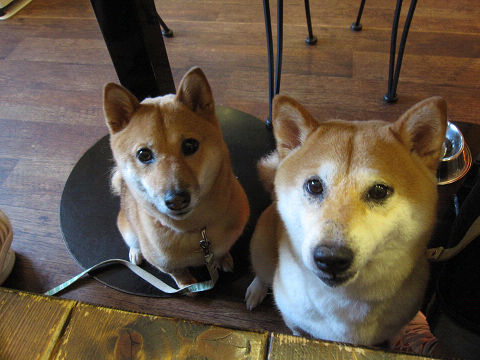 resize3508.jpg