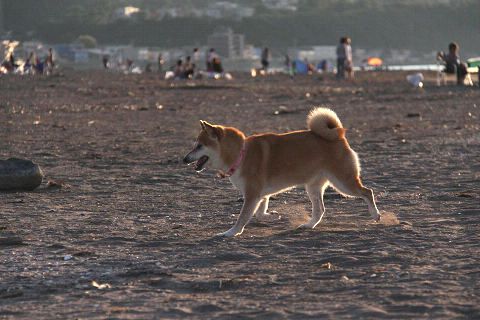 resize3734.jpg