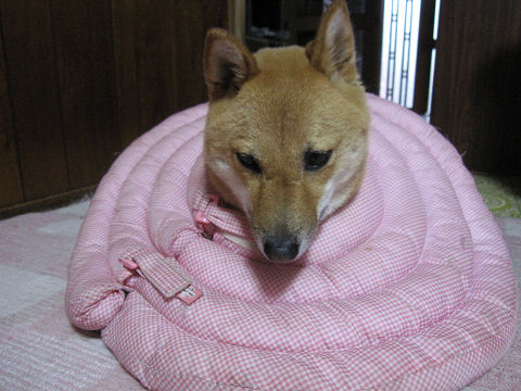resize3737.jpg