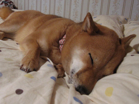 resize4429.jpg