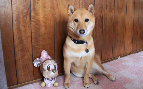 resize4430.jpg