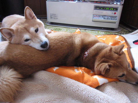 resize4576.jpg