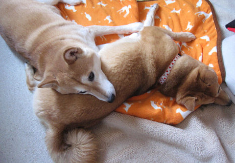 resize4577.jpg
