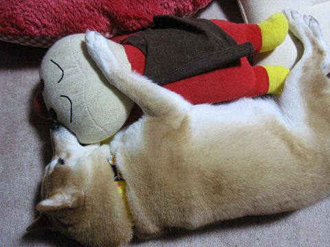 resize4670.jpg