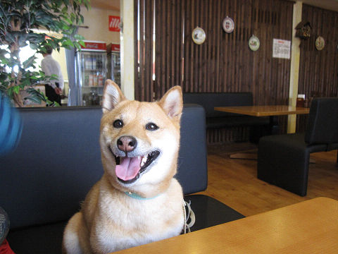 resize5157.jpg