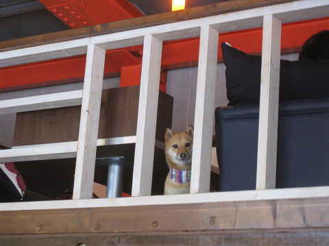 resize5496.jpg