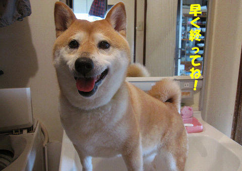 resize5603.jpg